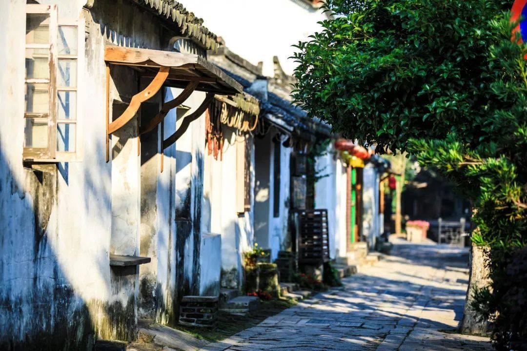 智慧问答网页-娱乐圈的新生代男演员里面哪个人最厉害呢?